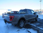 2021 F-150 Thumbnail 6