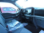 2021 F-150 Thumbnail 11