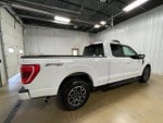 2023 F-150 Thumbnail 5