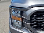 2023 F-150 Thumbnail 12