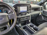 2023 F-150 Thumbnail 18