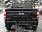 2023 F-150 Thumbnail 4
