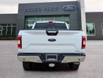 2019 F-150 Thumbnail 6