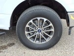2019 F-150 Thumbnail 10