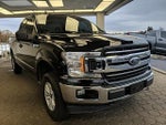 2020 F-150 Thumbnail 3