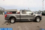 2021 F-150 Thumbnail 4