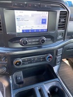 2021 F-150 Thumbnail 11