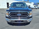 2021 F-150 Thumbnail 8