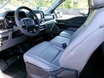 2021 F-150 Thumbnail 8