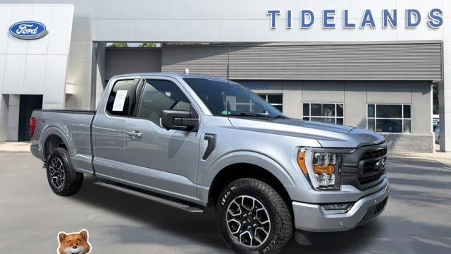 Preowned 2023 Ford F-150 XL for Sale