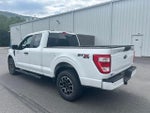 2023 F-150 Thumbnail 6