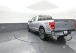 2023 F-150 Thumbnail 5