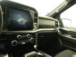 2023 F-150 Thumbnail 11