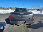 2016 F-150 Thumbnail 5