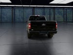 2020 F-150 Thumbnail 7