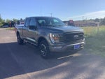 2021 F-150 Thumbnail 8