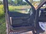 2021 F-150 Thumbnail 10