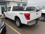 2021 F-150 Thumbnail 7