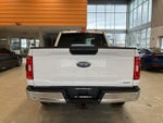 2021 F-150 Thumbnail 6
