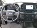 2021 F-150 Thumbnail 10