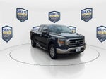 2022 F-150 Thumbnail 4