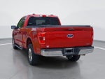 2022 F-150 Thumbnail 5