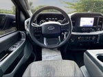 2022 F-150 Thumbnail 5