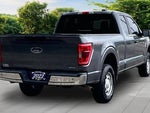 2022 F-150 Thumbnail 12