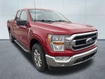 2022 F-150 Thumbnail 4