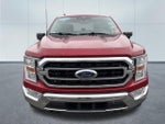 2022 F-150 Thumbnail 5