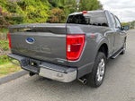 2022 F-150 Thumbnail 7