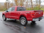 2022 F-150 Thumbnail 4