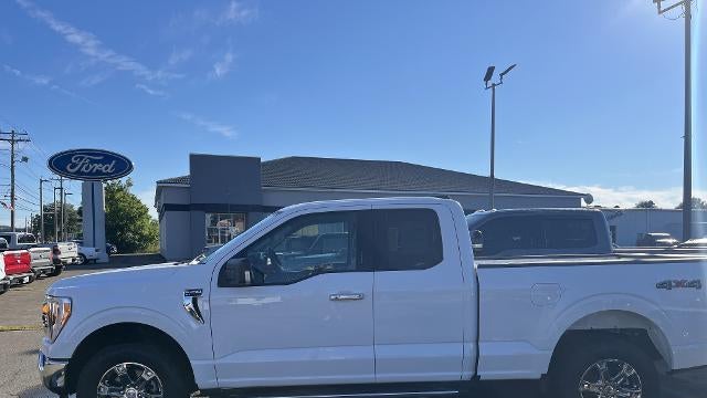 Preowned 2023 Ford F-150 XLT for Sale