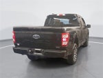 2023 F-150 Thumbnail 3