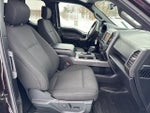 2019 F-150 Thumbnail 13