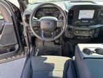 2023 F-150 Thumbnail 13
