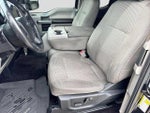2015 F-150 Thumbnail 15