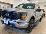 2021 F-150 Thumbnail 4
