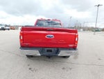 2021 F-150 Thumbnail 4
