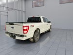 2023 F-150 Thumbnail 8