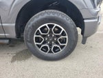 2023 F-150 Thumbnail 6