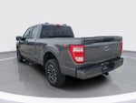2023 F-150 Thumbnail 4