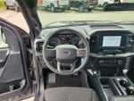 2023 F-150 Thumbnail 14