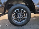 2019 F-150 Thumbnail 12