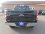 2020 F-150 Thumbnail 4