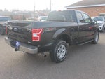 2020 F-150 Thumbnail 5