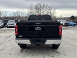 2021 F-150 Thumbnail 7