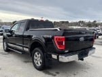 2021 F-150 Thumbnail 8