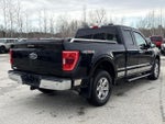 2021 F-150 Thumbnail 6
