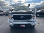 2021 F-150 Thumbnail 2
